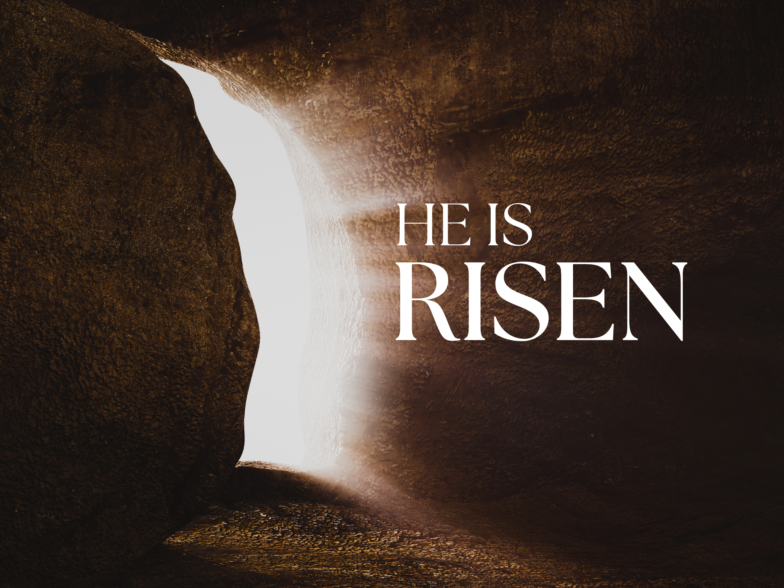 Small Groups at New Life Wabash